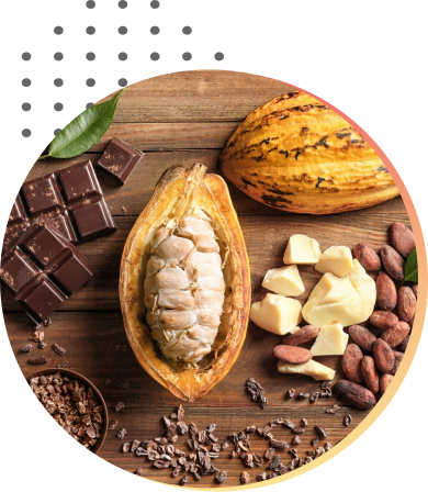 CI Cacau - Centro de Inteligência do Cacau