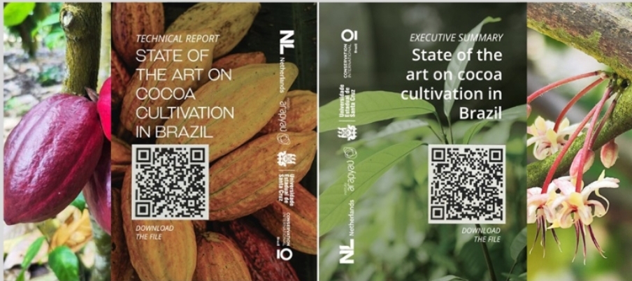 Uesc consolida protagonismo científico com estudo internacional sobre o cultivo de cacau no Brasil